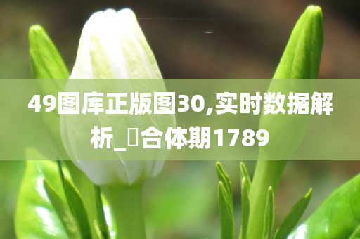 49图库正版图30,实时数据解析_‌合体期1789