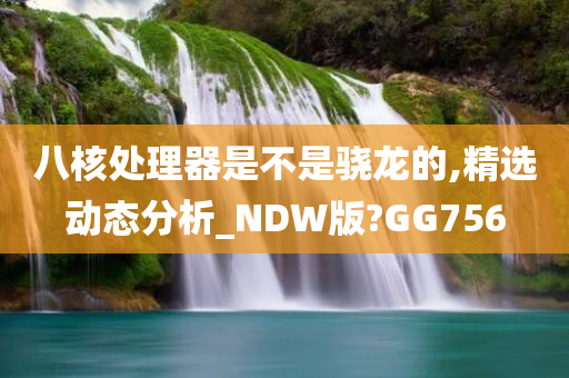 八核处理器是不是骁龙的,精选动态分析_NDW版?GG756