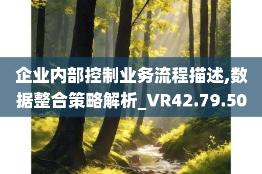 企业内部控制业务流程描述,数据整合策略解析_VR42.79.50