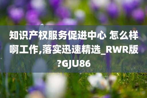 知识产权服务促进中心 怎么样啊工作,落实迅速精选_RWR版?GJU86