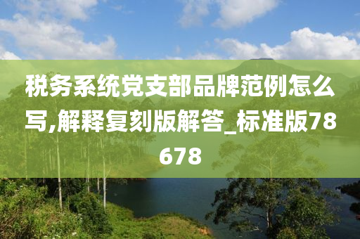 税务系统党支部品牌范例怎么写,解释复刻版解答_标准版78678