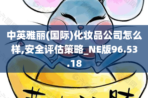 中英雅丽(国际)化妆品公司怎么样,安全评估策略_NE版96.53.18