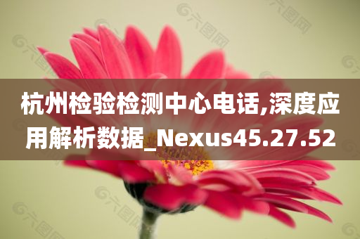 杭州检验检测中心电话,深度应用解析数据_Nexus45.27.52