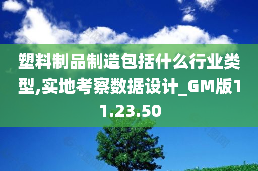 塑料制品制造包括什么行业类型,实地考察数据设计_GM版11.23.50