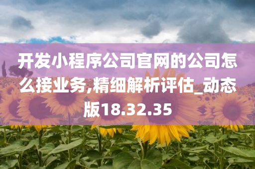 开发小程序公司官网的公司怎么接业务,精细解析评估_动态版18.32.35