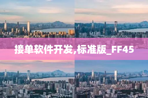 接单软件开发,标准版_FF45