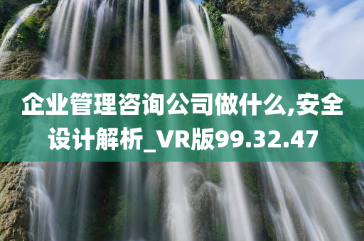 企业管理咨询公司做什么,安全设计解析_VR版99.32.47