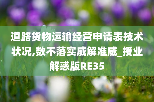 道路货物运输经营申请表技术状况,数不落实威解准威_授业解惑版RE35