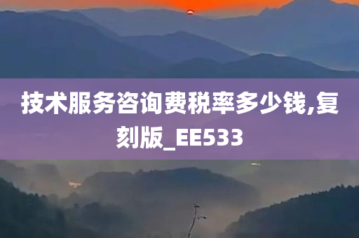 技术服务咨询费税率多少钱,复刻版_EE533