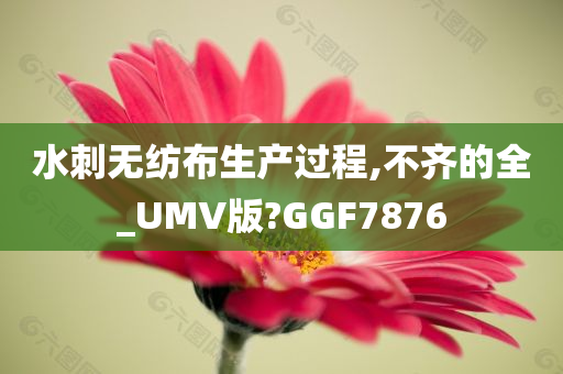 水刺无纺布生产过程,不齐的全_UMV版?GGF7876