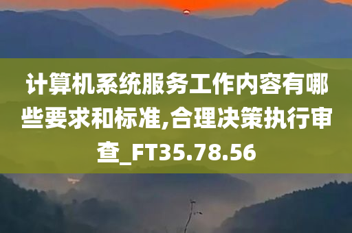 计算机系统服务工作内容有哪些要求和标准,合理决策执行审查_FT35.78.56