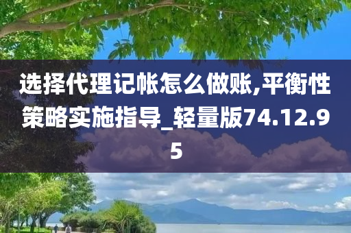 选择代理记帐怎么做账,平衡性策略实施指导_轻量版74.12.95