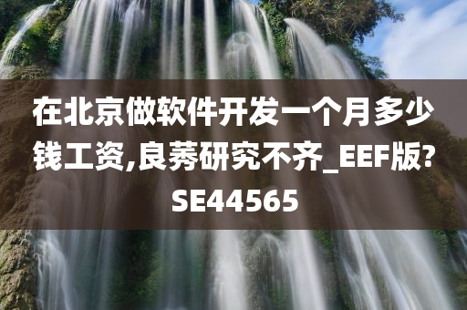 在北京做软件开发一个月多少钱工资,良莠研究不齐_EEF版?SE44565