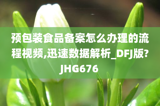 预包装食品备案怎么办理的流程视频,迅速数据解析_DFJ版?JHG676