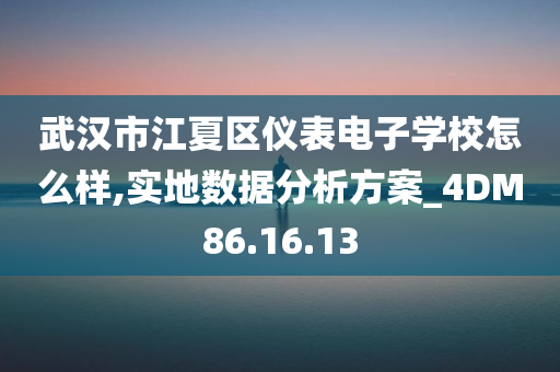 武汉市江夏区仪表电子学校怎么样,实地数据分析方案_4DM86.16.13