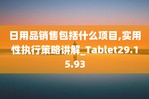 日用品销售包括什么项目,实用性执行策略讲解_Tablet29.15.93