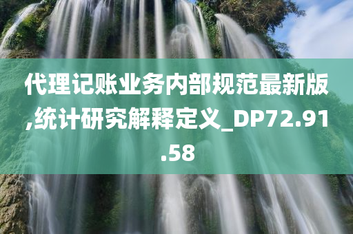 代理记账业务内部规范最新版,统计研究解释定义_DP72.91.58