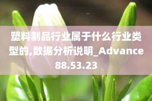 塑料制品行业属于什么行业类型的,数据分析说明_Advance88.53.23