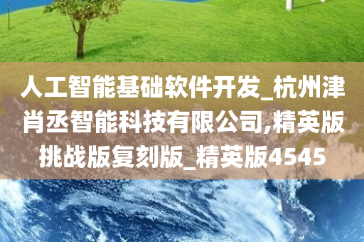 人工智能基础软件开发_杭州津肖丞智能科技有限公司,精英版挑战版复刻版_精英版4545