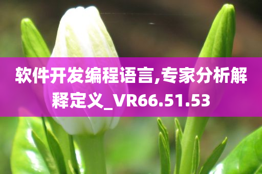 软件开发编程语言,专家分析解释定义_VR66.51.53