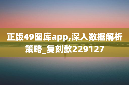 正版49图库app,深入数据解析策略_复刻款229127