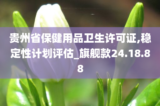 贵州省保健用品卫生许可证,稳定性计划评估_旗舰款24.18.88