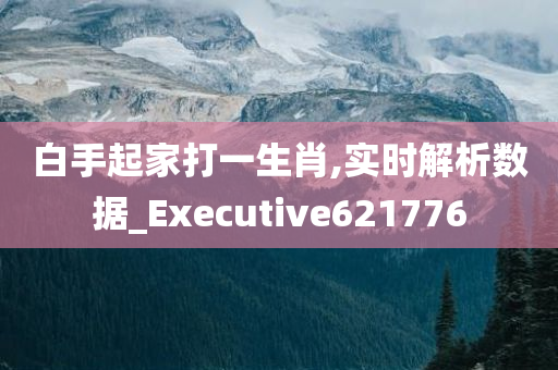 白手起家打一生肖,实时解析数据_Executive621776