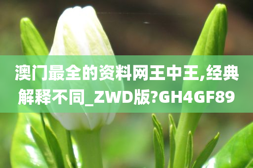 澳门最全的资料网王中王,经典解释不同_ZWD版?GH4GF89