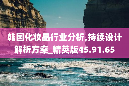 韩国化妆品行业分析,持续设计解析方案_精英版45.91.65