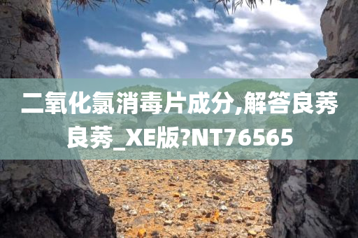 二氧化氯消毒片成分,解答良莠良莠_XE版?NT76565