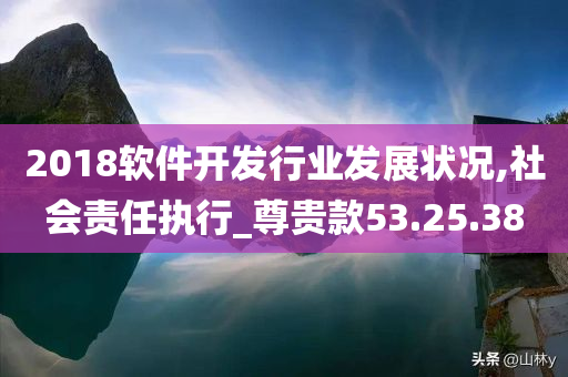 2018软件开发行业发展状况,社会责任执行_尊贵款53.25.38