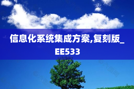 信息化系统集成方案,复刻版_EE533