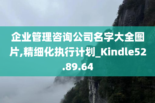 企业管理咨询公司名字大全图片,精细化执行计划_Kindle52.89.64