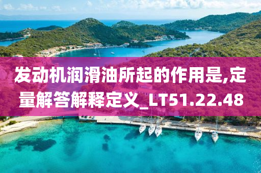 发动机润滑油所起的作用是,定量解答解释定义_LT51.22.48