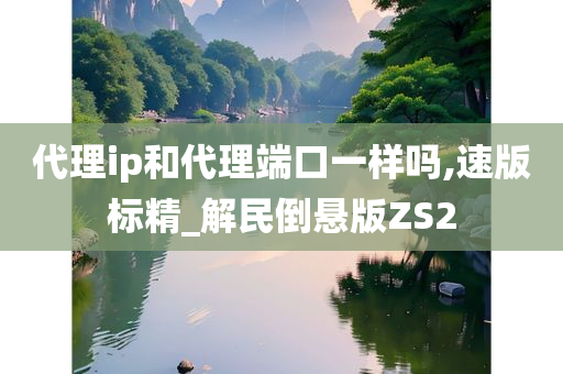 代理ip和代理端口一样吗,速版标精_解民倒悬版ZS2