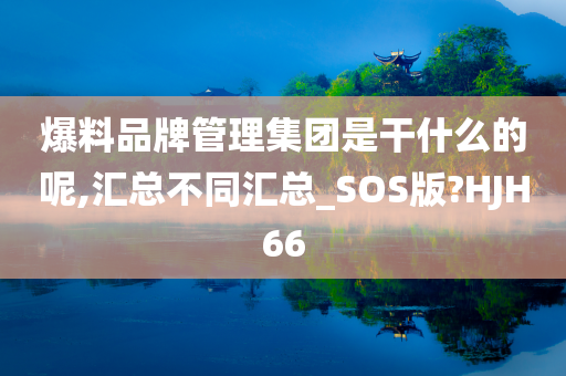 爆料品牌管理集团是干什么的呢,汇总不同汇总_SOS版?HJH66