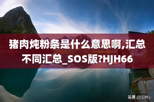 猪肉炖粉条是什么意思啊,汇总不同汇总_SOS版?HJH66