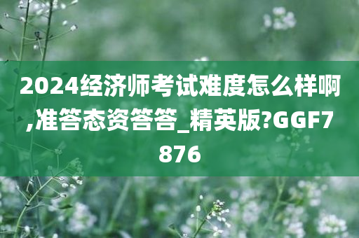 2024经济师考试难度怎么样啊,准答态资答答_精英版?GGF7876