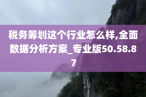 税务筹划这个行业怎么样,全面数据分析方案_专业版50.58.87