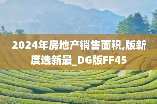 2024年房地产销售面积,版新度选新最_DG版FF45