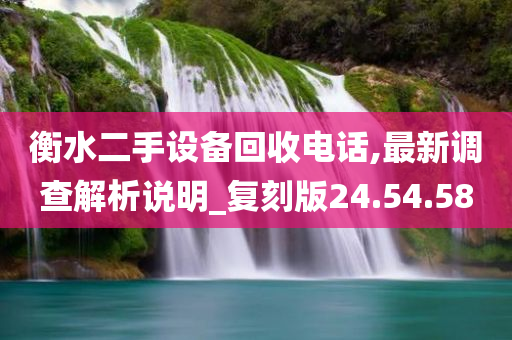 衡水二手设备回收电话,最新调查解析说明_复刻版24.54.58