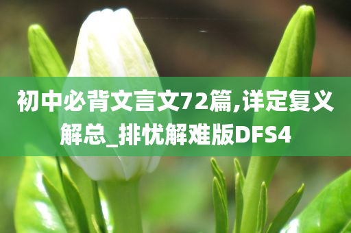 初中必背文言文72篇,详定复义解总_排忧解难版DFS4