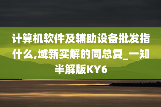 计算机软件及辅助设备批发指什么,域新实解的同总复_一知半解版KY6