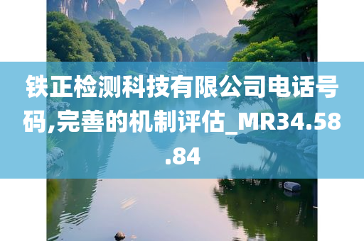 铁正检测科技有限公司电话号码,完善的机制评估_MR34.58.84