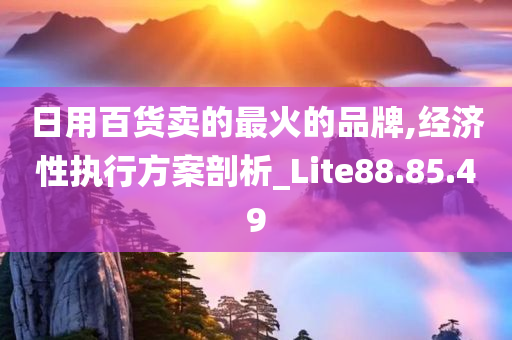 日用百货卖的最火的品牌,经济性执行方案剖析_Lite88.85.49