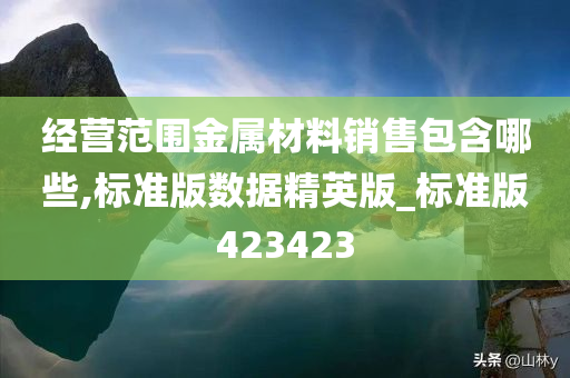 经营范围金属材料销售包含哪些,标准版数据精英版_标准版423423