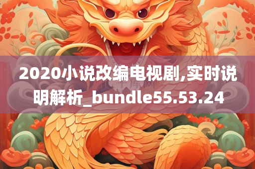 2020小说改编电视剧,实时说明解析_bundle55.53.24