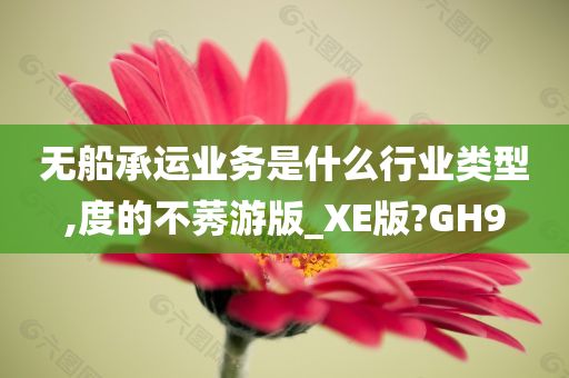 无船承运业务是什么行业类型,度的不莠游版_XE版?GH9