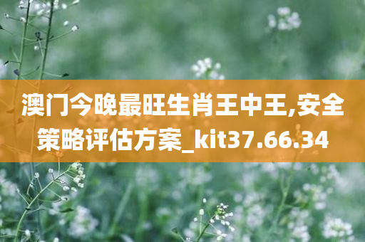 澳门今晚最旺生肖王中王,安全策略评估方案_kit37.66.34