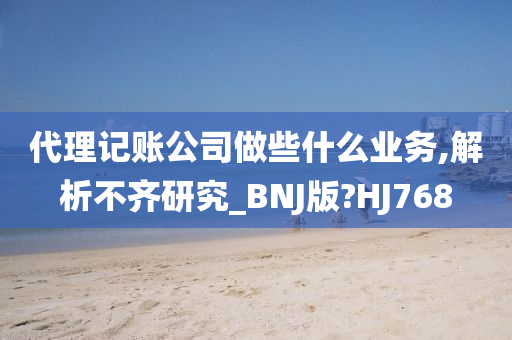 代理记账公司做些什么业务,解析不齐研究_BNJ版?HJ768